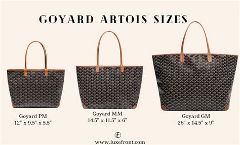 goyard artois mm vs pm